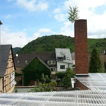 招待所 阿姆马克旅馆 特赖斯-卡尔登